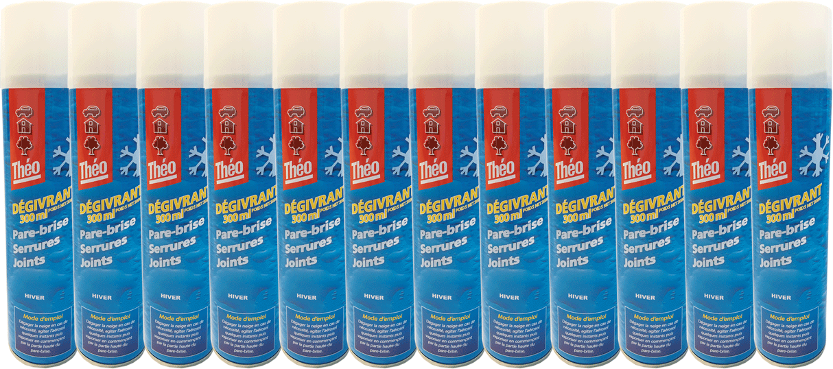Théo Dégivrant Pare-Brise Voiture De-Icer, Retire en Un Instant Le Givre du Pare-Brise, 300 ML
