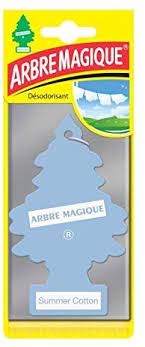Arbre Magique Désodorisant - Parfum Longue Durée pour Voiture et Intérieur