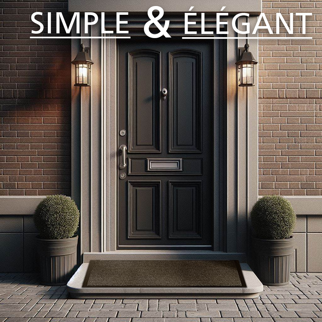 Paillasson Entrée - Plusieurs Tailles - Super Résistant et Super Absorbant - Antidérapant - Facile d'entretien