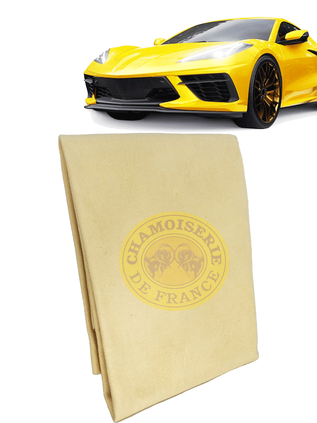 Théo - Peau Chamoisée - Différentes tailles - Qualité Professionnelle