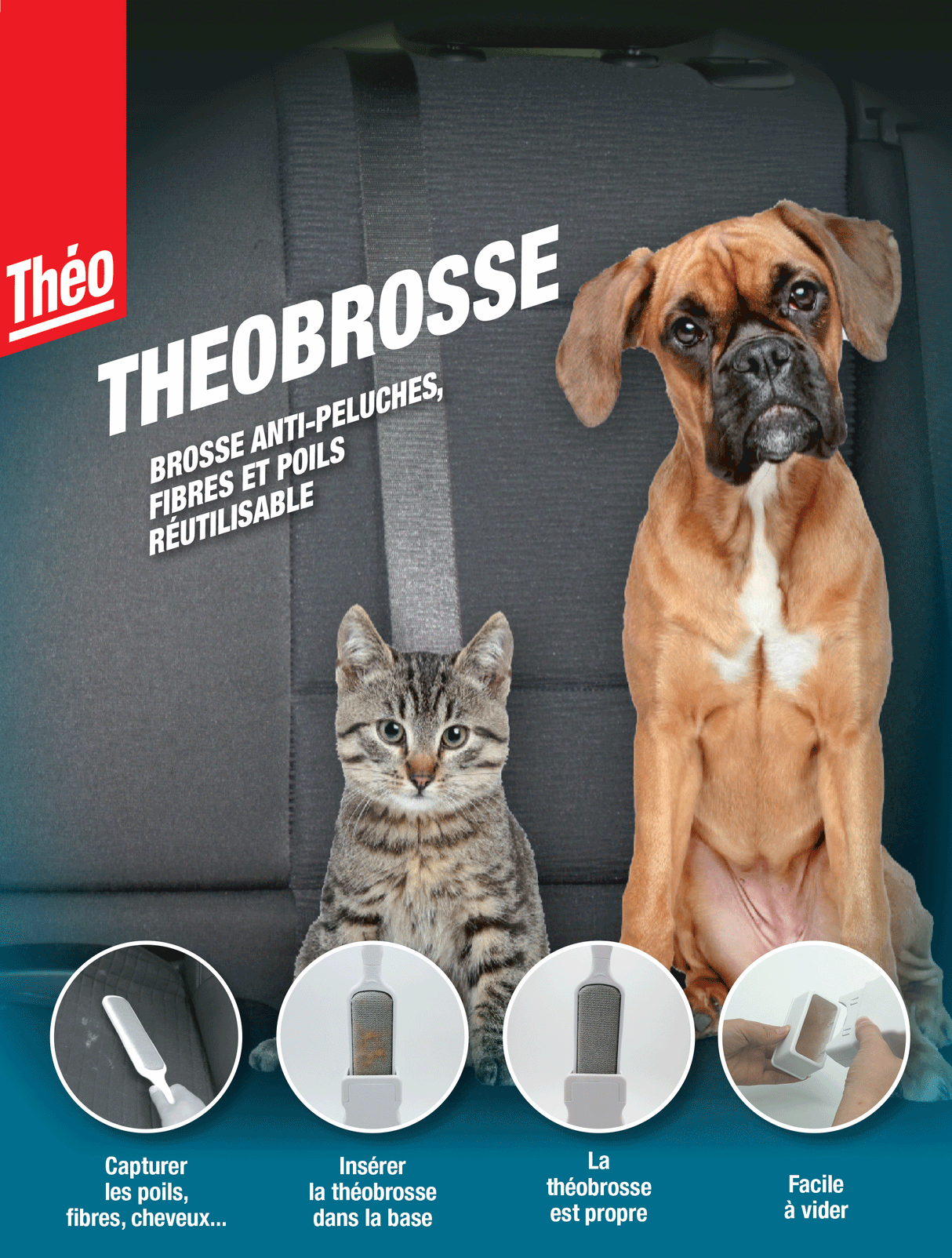 Théo - Théobrosse brosse anti-poils - Idéal Voiture et Maison