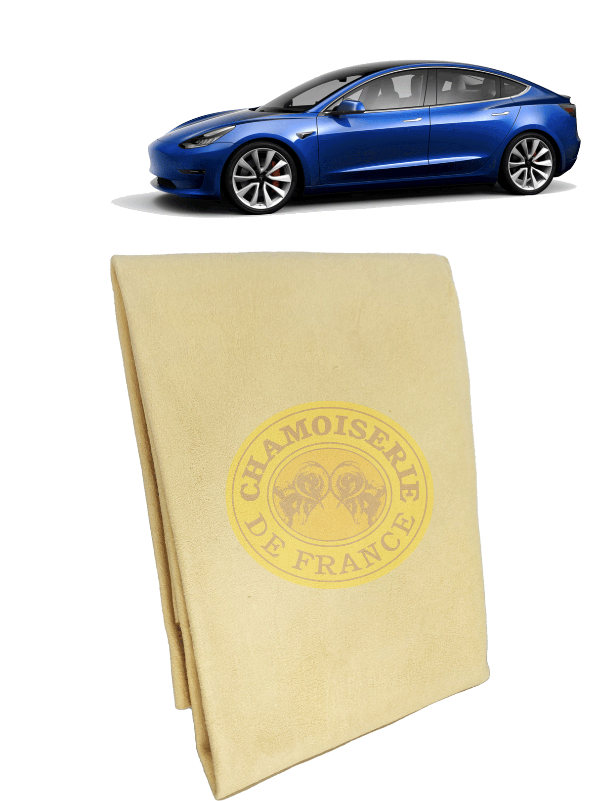 Théo - Peau Chamoisée - Différentes tailles - Qualité Professionnelle